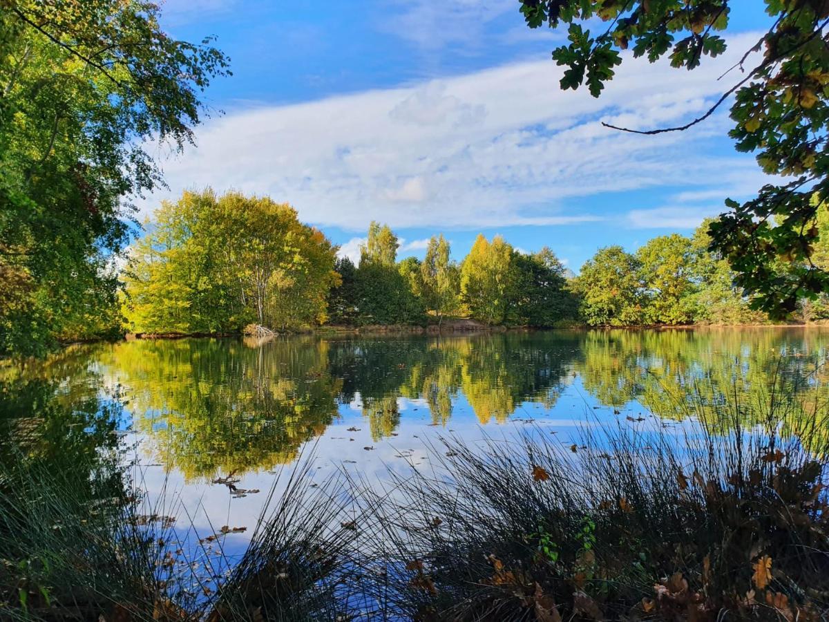 Ferienwohnung Am See Dillich - Eigener Garten - Ruhige Lage - Natur Vor Der Haustuer Borken  Zewnętrze zdjęcie