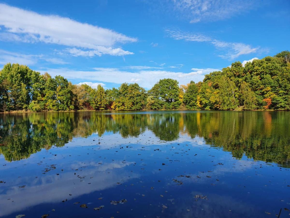 Ferienwohnung Am See Dillich - Eigener Garten - Ruhige Lage - Natur Vor Der Haustuer Borken  Zewnętrze zdjęcie
