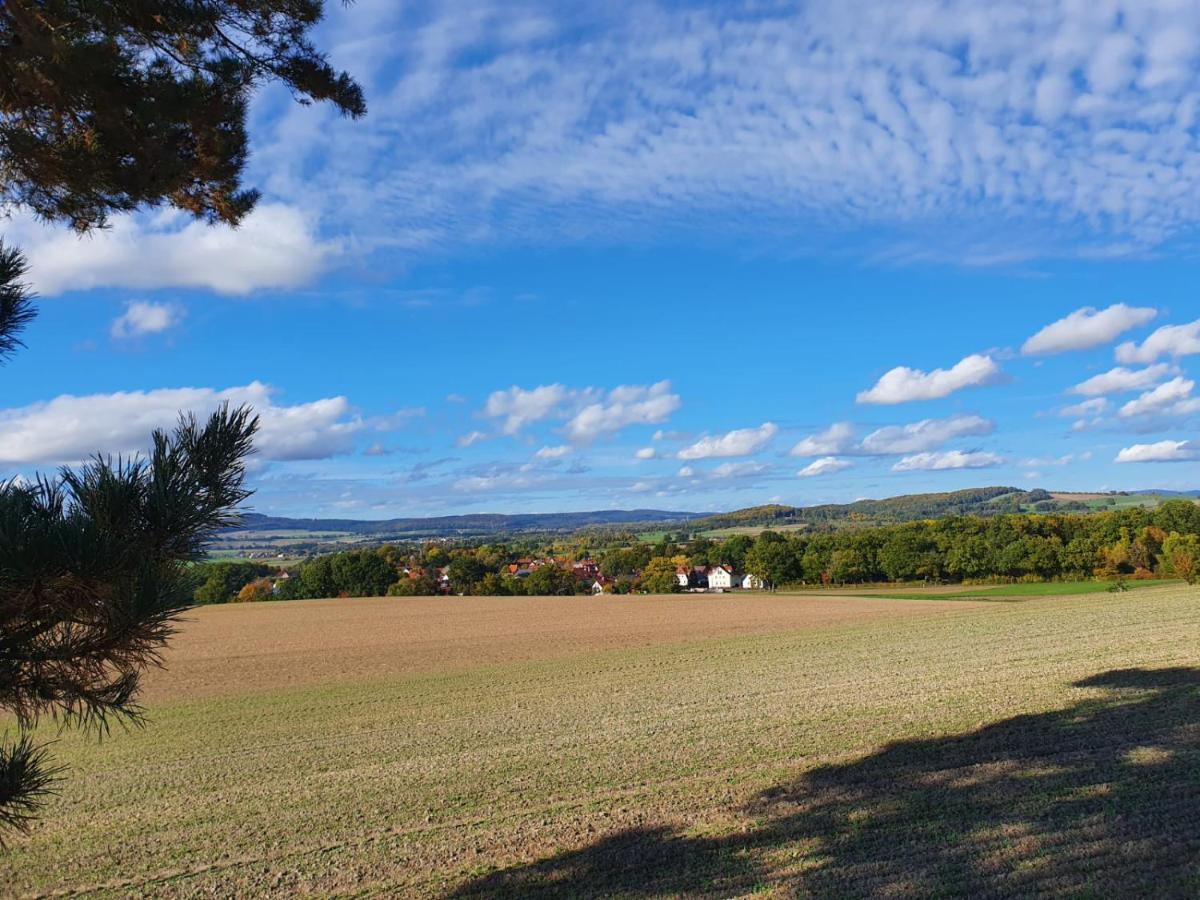 Ferienwohnung Am See Dillich - Eigener Garten - Ruhige Lage - Natur Vor Der Haustuer Borken  Zewnętrze zdjęcie