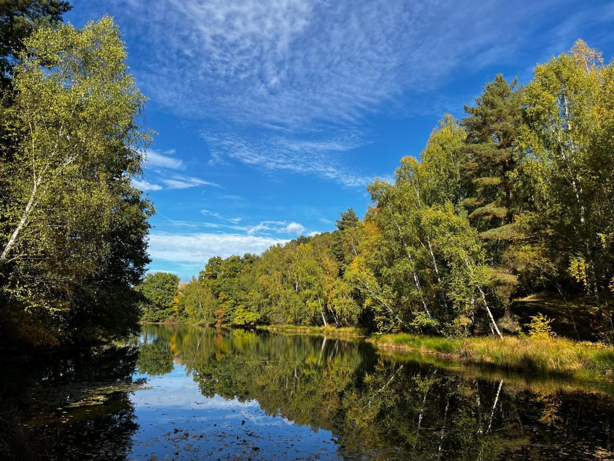 Ferienwohnung Am See Dillich - Eigener Garten - Ruhige Lage - Natur Vor Der Haustuer Borken  Zewnętrze zdjęcie