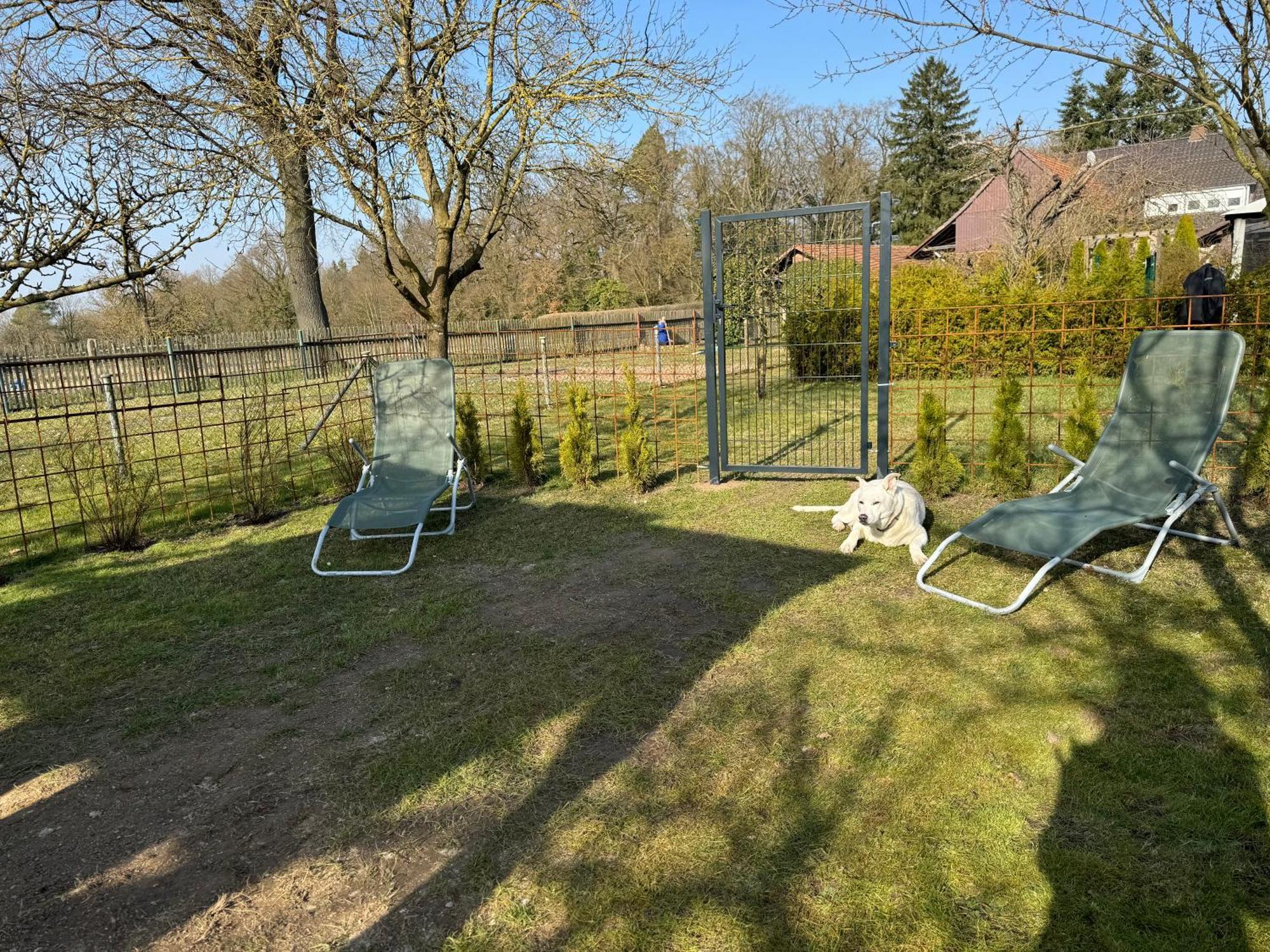 Ferienwohnung Am See Dillich - Eigener Garten - Ruhige Lage - Natur Vor Der Haustuer Borken  Zewnętrze zdjęcie